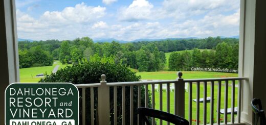 Dahlonega Resort and Vineyard Restaurant views