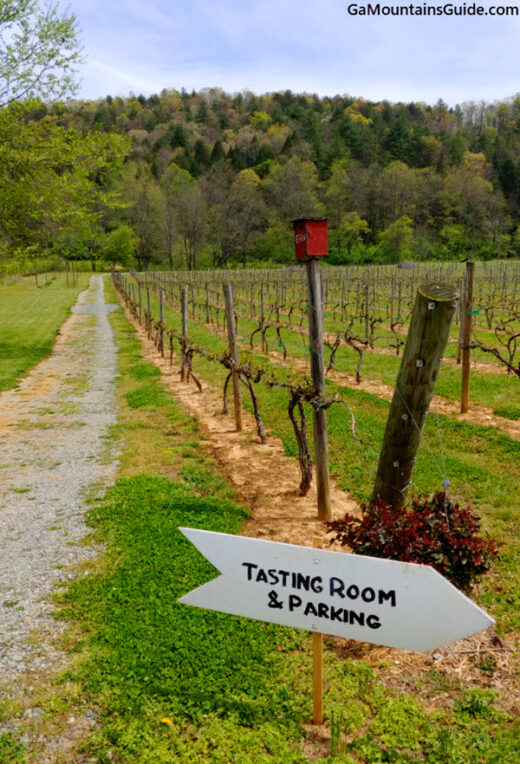 Drive to the tasting tent at Ellijay River Vineyards