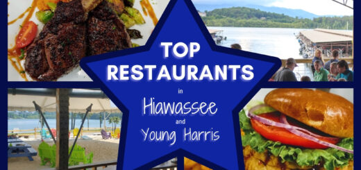 Restaurants in Hiawassee and Young Harris GA