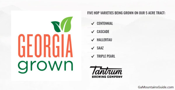 Tantrum Brewing Company in Georgia Mountains