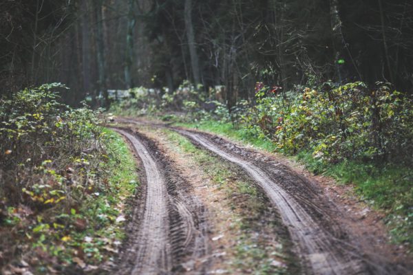 Off-road trails and ATV rides through the woods