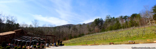 Outdoor piazza seating next to vineyards at Serenity Cellars