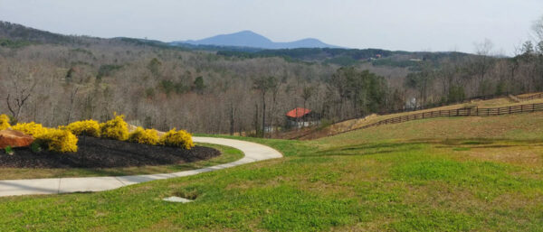 Panoramic mountain views at The Cottage Vineyard & Winery