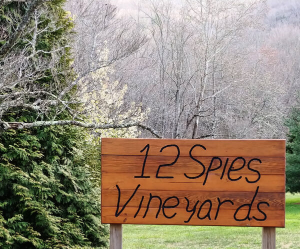 12 Spies Wine