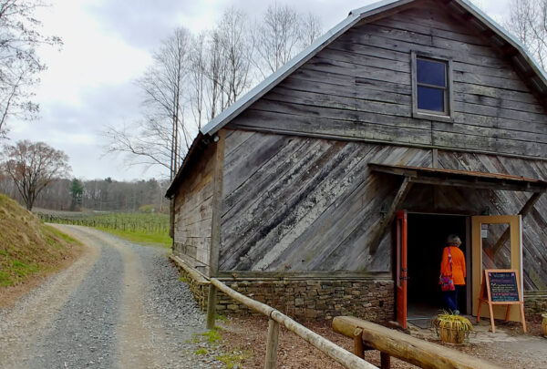 Cartecay Vineyard Tasting Barn