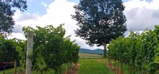 Chateau Meichtry Talking Rock GA