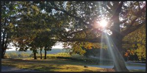 Montaluce Vineyards GaMountainsGuide.com 201610