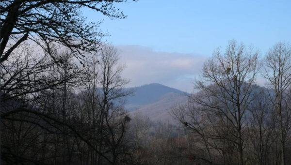 Pet-Friendly Cabin near 12 Spies Vineyards