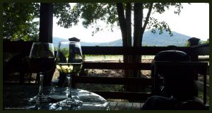 Sharp Mountain Vineyards - GaMountainsGuide