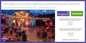 Tastings at 2 Georgia Mountain Vineyards (Cottage & Serenity) - GaMountainsGuide
