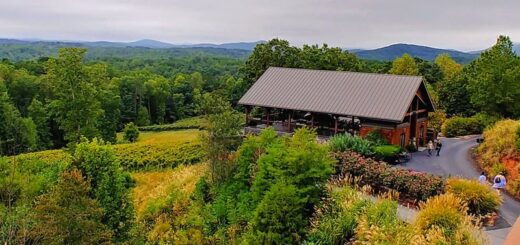 Views from the Wolf Mountain Winery Dahlonega GA