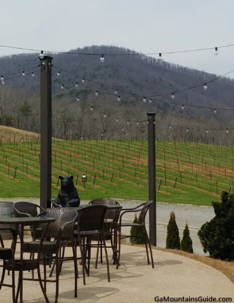 Patio at Yonah Mountain Georgia at Yonah Mountain Vineyards