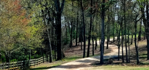 Windy road approach to Cavender Creek Vineyards Dahlonega