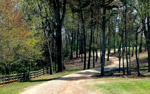 Windy road approach to Cavender Creek Vineyards Dahlonega