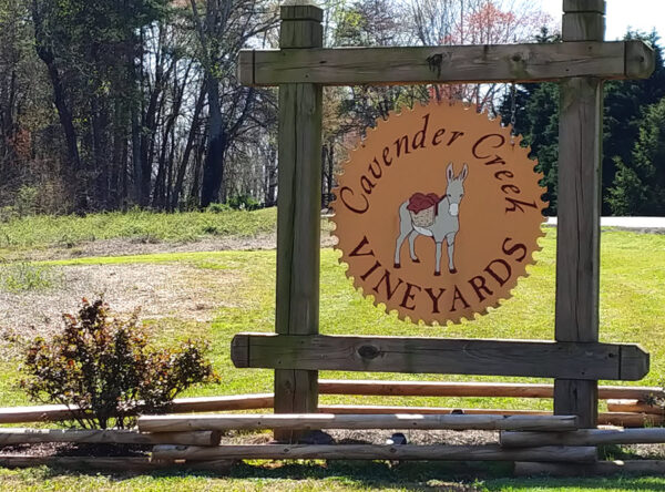 Cavender Creek Vineyards in Dahlonega GA