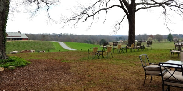 CeNita Vineyards Cleveland Ga