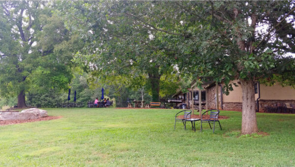 Relaxing under the shade of large trees at CeNita Vineyards