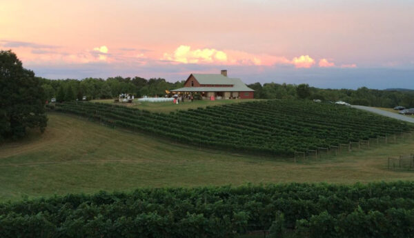 CeNita Vineyards & Winery Rental Cabin View (photo VRBO.com)