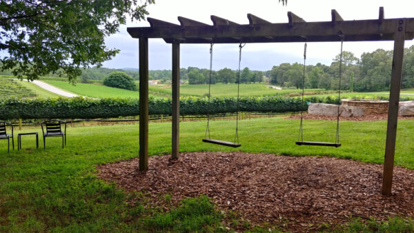 Enjoy the view from one of the swings at CeNita Vineyards
