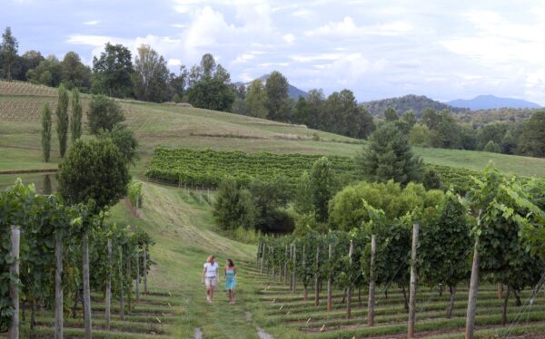 Crane Creek Vineyards in Young Harris GA