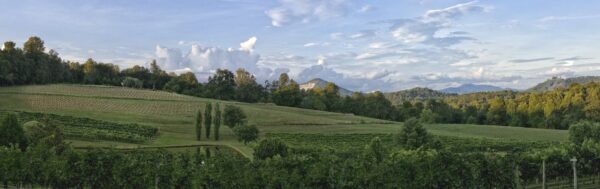 Crane Creek Winery