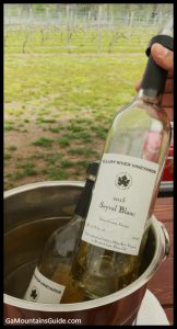 Ellijay River Vineyards Seyval Blanc