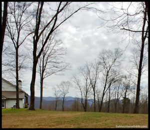 Fainting Goat Vineyards Winery