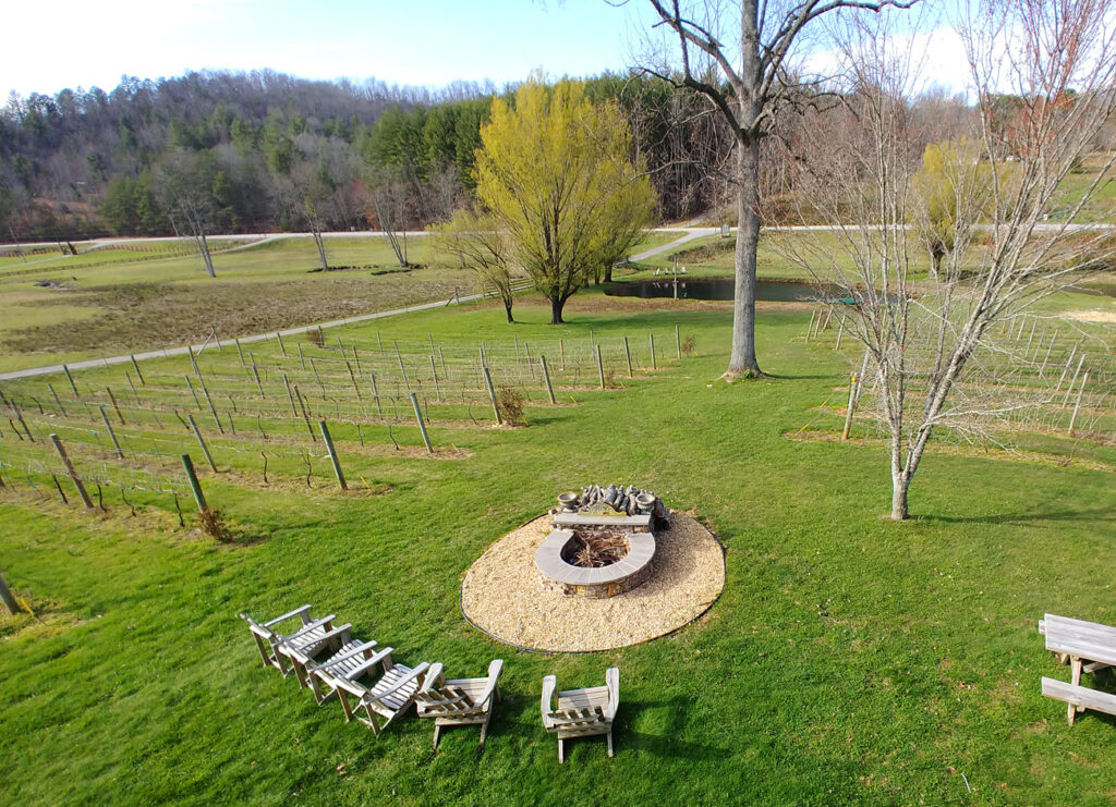 Hightower Creek Vineyards in Hiawassee Ga Mountains Guide
