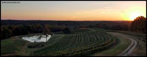 Montaluce Vineyards in the Georgia Mountains