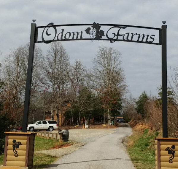 Entrance to Odom Farms in Blairsville GA