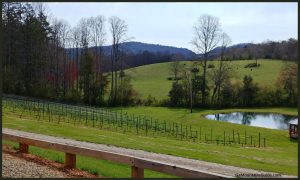 Odom Springs Vineyards Winery Upper Hiwassee Highlands AVA