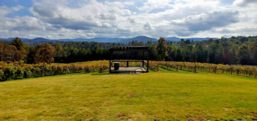 Incredible panoramic mountain views at Ott Farms and Vineyard