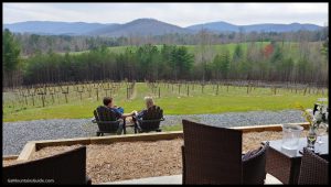 Ott Farms and Vineyard