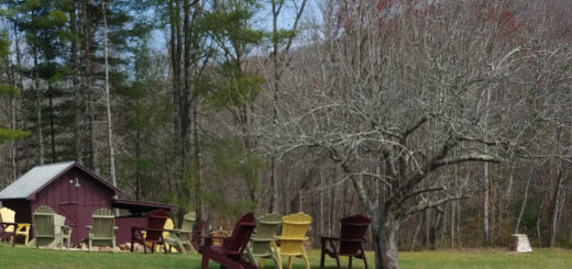 Outdoor scenery at Serenberry Vineyards