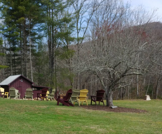 Outdoor scenery at Serenberry Vineyards