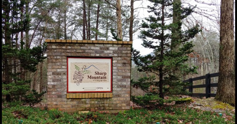 Sharp Mountain Vineyard