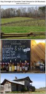 Stay overnight at Cavender Creek Vineyards - GaMountainsGuide.com