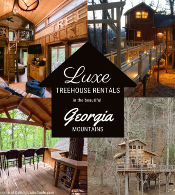 Luxury Treehouse Rentals in the North Georgia Mountains