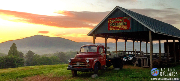 BJ Reece Orchards en las montañas del norte de Georgia