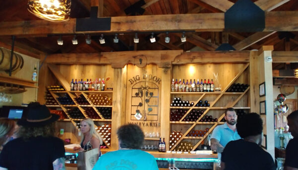 Big Door Vineyards GA
