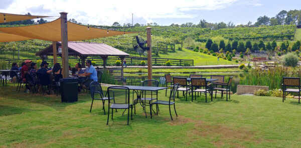 Lots of great outdoor seating areas at Big Door Vineyards