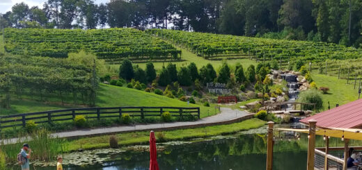 Scenic vineyards to explore at Big Door Vineyards