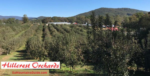 Hillcrest Orchards in the North Georgia Mountains