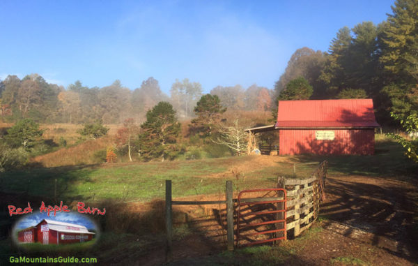 Apple Picking In North Georgia Mountains U Pick Farms Ga