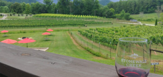 Glass of red wine at Stonewall Creek Vineyards in Tiger, GA