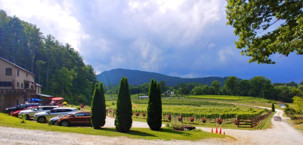 Stonewall Creek Vineyards