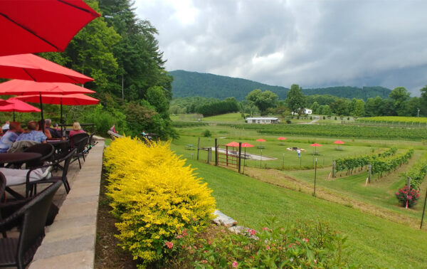 Vineyard and mountain views on the patio at Stonewall Creek Vineyards