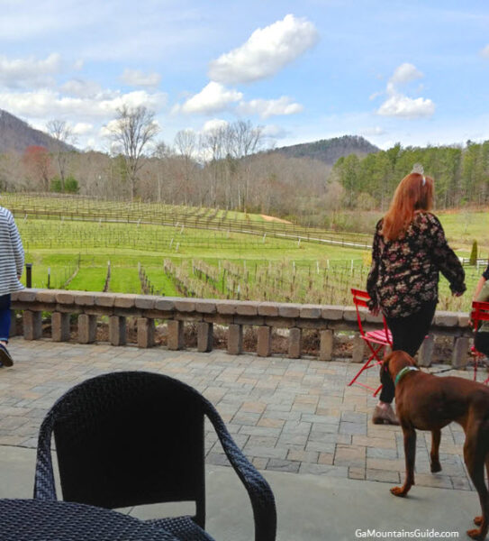 Dog friendly outdoor patio at Stonewall Winery