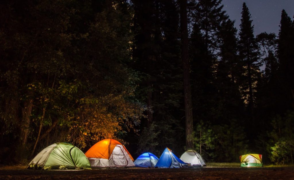 Kids Camp Free on Father's Day