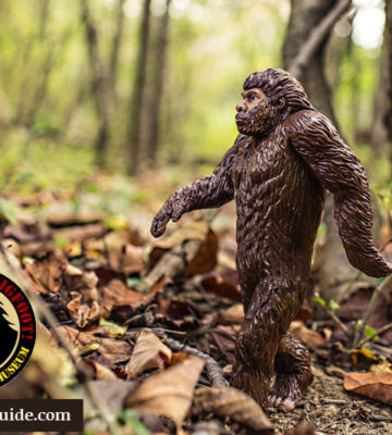 Expedition Bigfoot and The Sasquatch Museum in Georgia Mountains